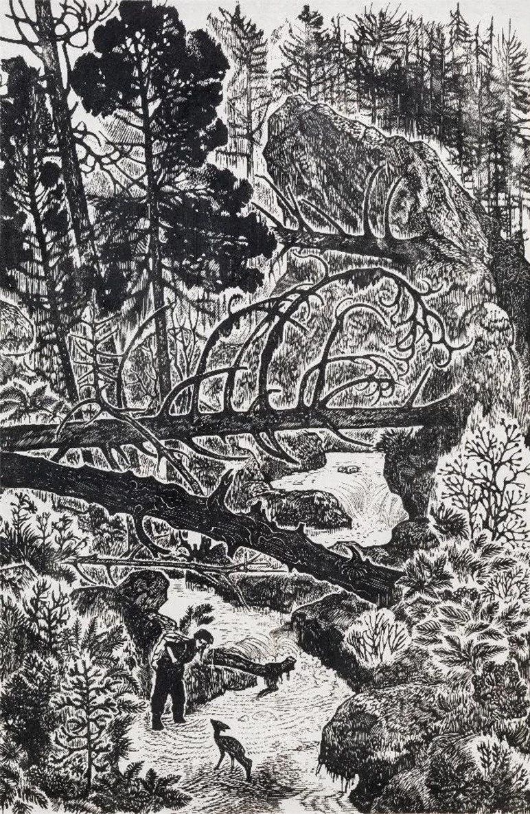 20260402177510906846.jpg 《小鹿你好》 40x26.5cm 1957年.jpg